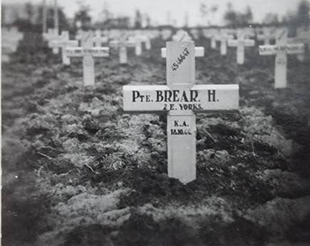 Grave-Harvey-Brear-at-Overloon